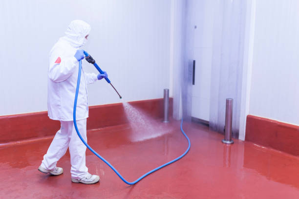 Best Graffiti Removal Services in Mclean, TX